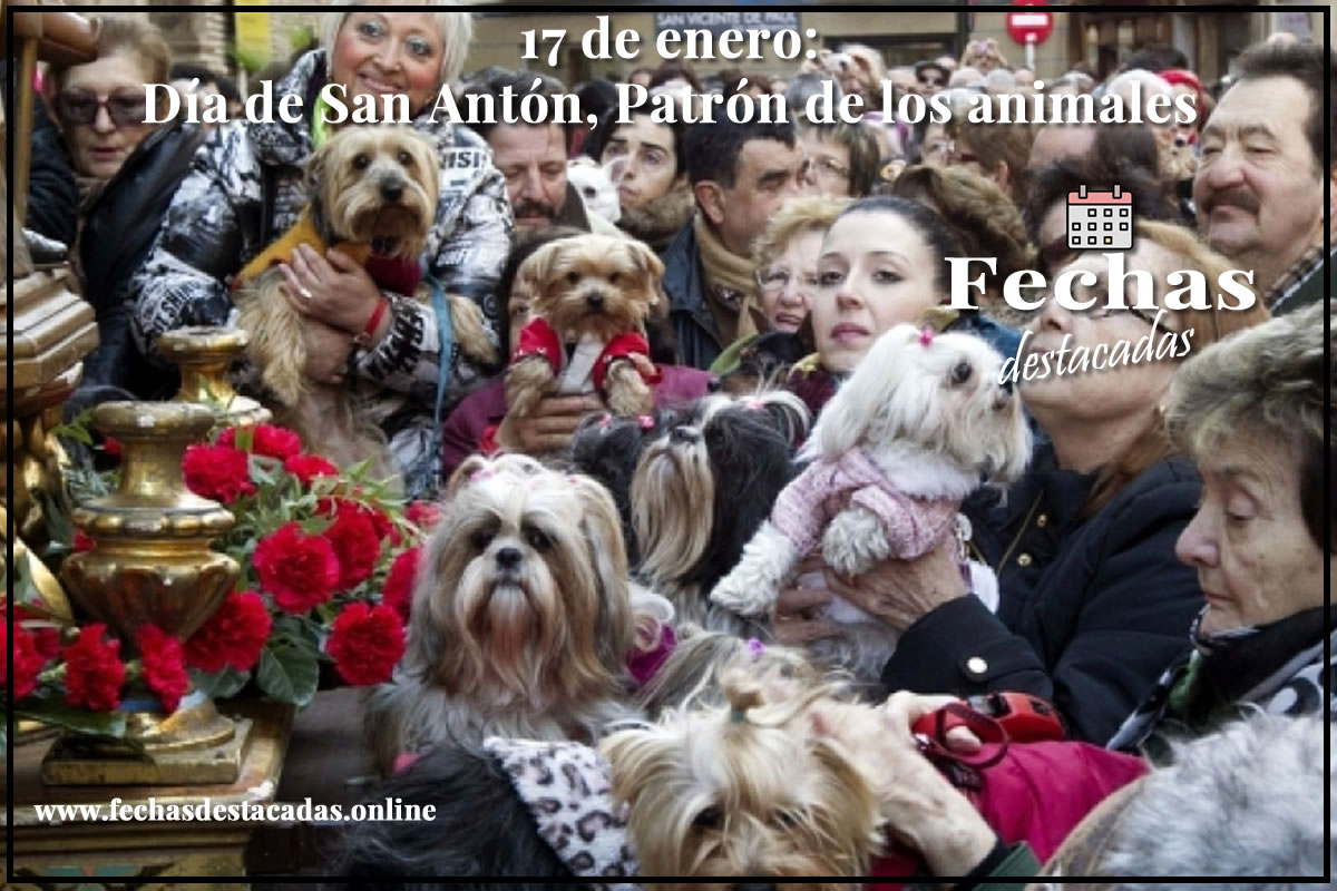 17 de enero, día de San Antón, Patrón de los Animales