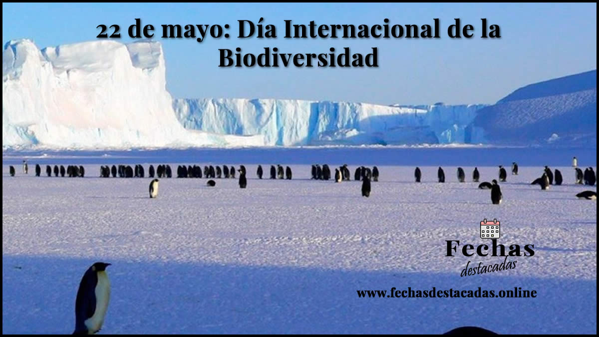 22 de mayo: Día Internacional de la Biodiversidad