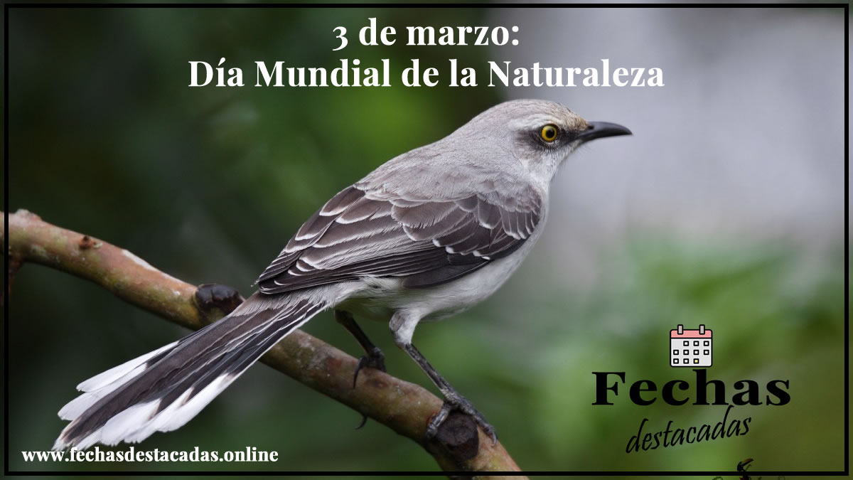 3 de marzo: Día Mundial de la Naturaleza