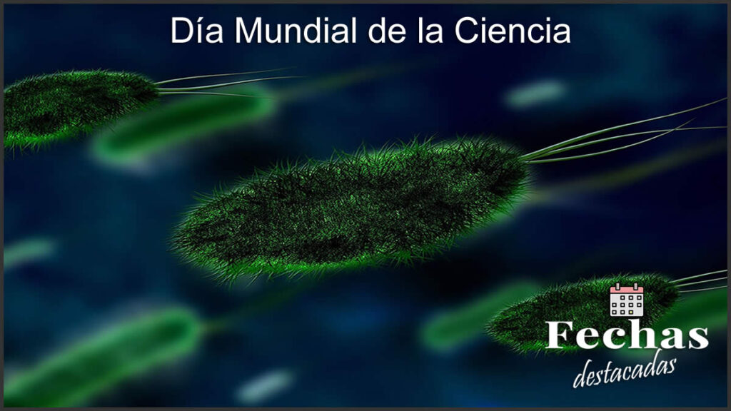 Día Mundial de la Ciencia