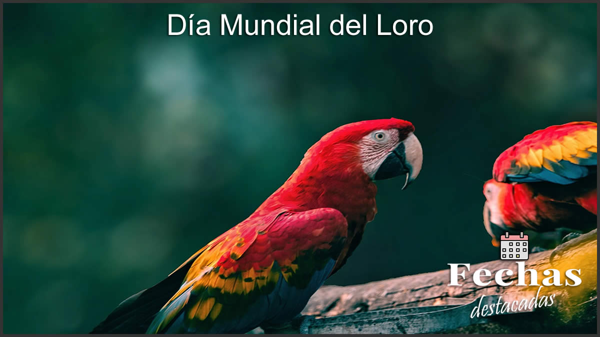 loros